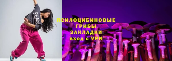 индика Алзамай