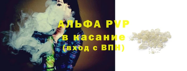 индика Алзамай