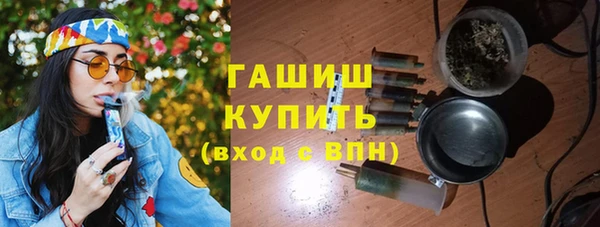 гашик Алексеевка