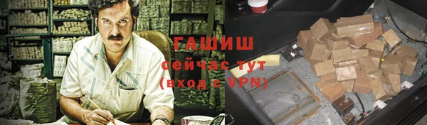 индика Алзамай