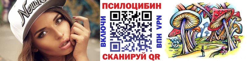 Купить  Тулун  Галлюциногенные грибы MAGIC MUSHROOMS 